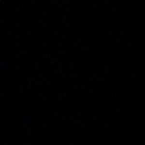 Meet your Posher, Ian